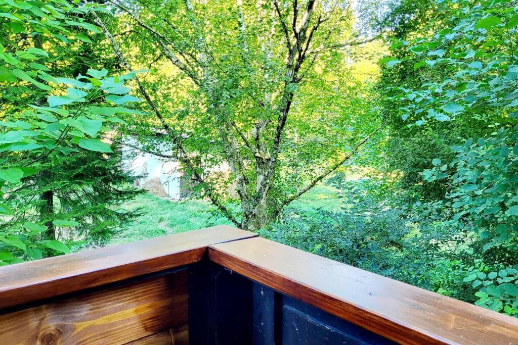 Colourful 2.5 Bedroom With Large Balcony & Garden. Prinzersdorf Eksteriør billede